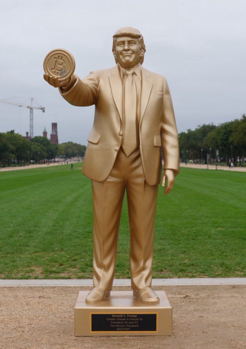 I VOTED FOR A STRATEGIC BITCOIN RESERVE AND ALL I GOT WAS THIS FUCKING STATUE.