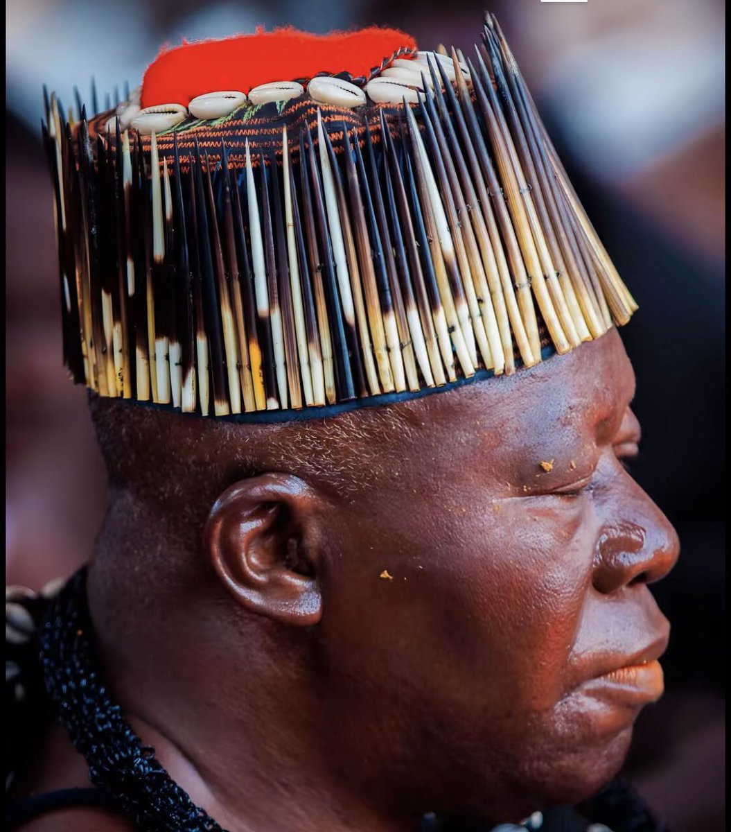 The Asantehene’s headgear is called “Nyɛ Apɛsɛ tipɛn ne Kotoko Nsɛbɛkyɛ” (The hedgehog may resemble the Porcupine, but only the porcupine commands fear).

It was made with the quills of the porcupine (Kotoko mɛtɛɛ). In Akan proverbial wisdom, it is said: “Kotoko ho huu ne ne