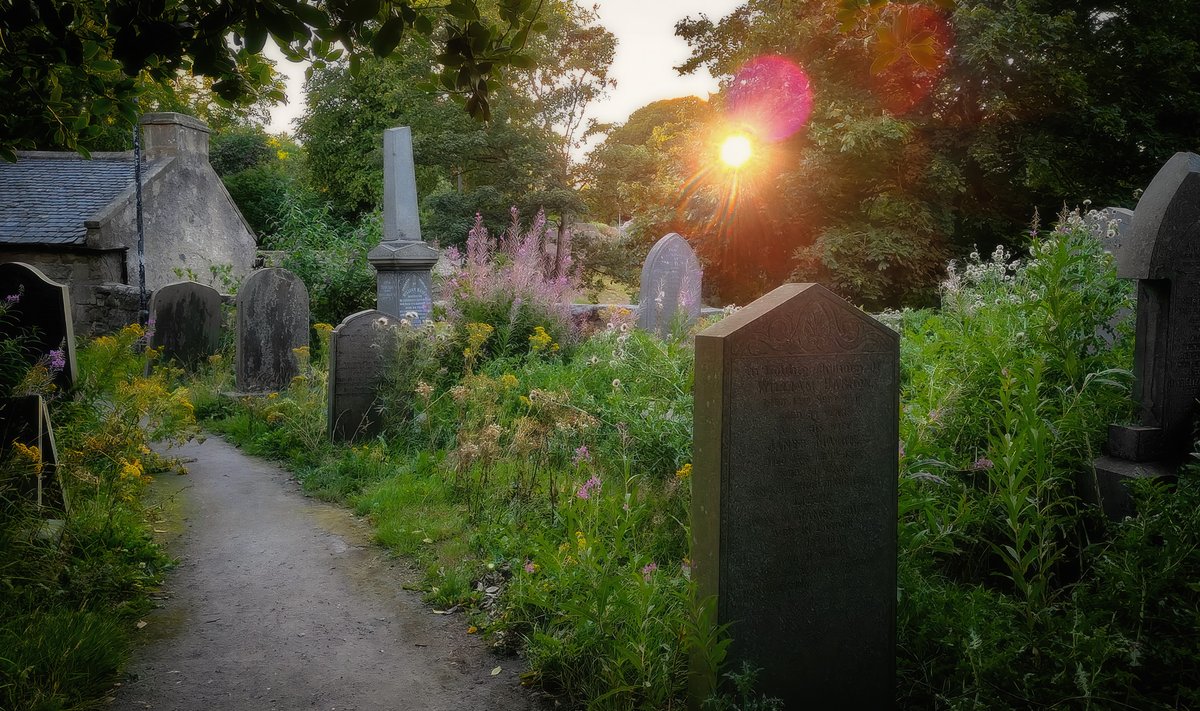 irena_wrzosy's tweet photo. Cemetery at the medieval St. Machar's Cathedral. Scotland, Aberdeen - 2025

#scotland #aberdeen #cemetery #travel #phototravel #photography #igers #igerspoland #Szkocja https://t.co/dyHpL9CHYt