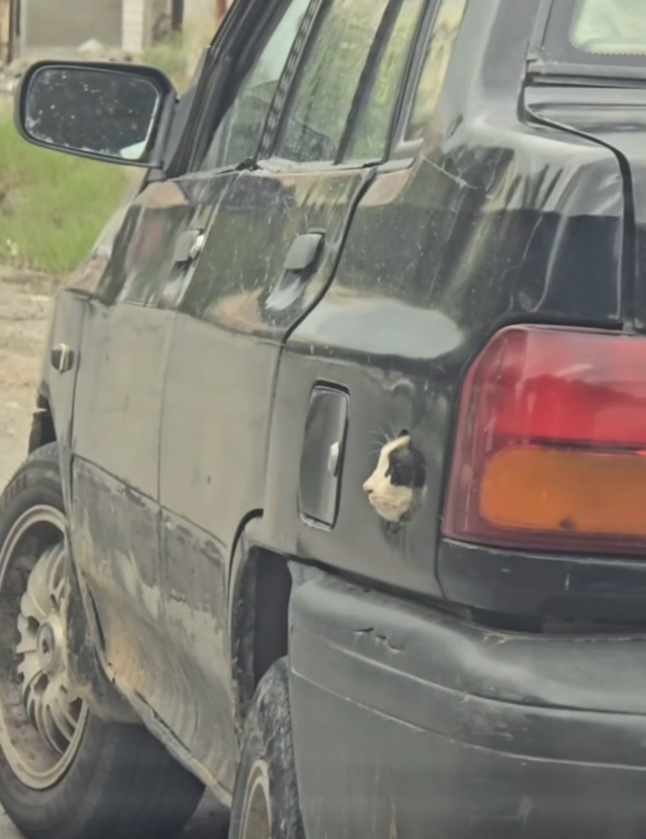 پراید میوگانه‌ سوز