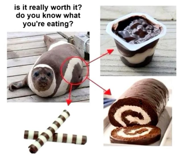 ꒰১ Hina ໒꒱ (@hinabiird) on Twitter photo 