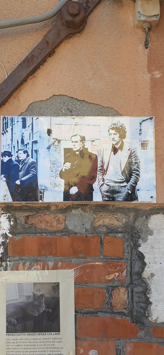 corda_f's tweet photo. @joncassar @RealKiefer https://t.co/hxoVH3flW8