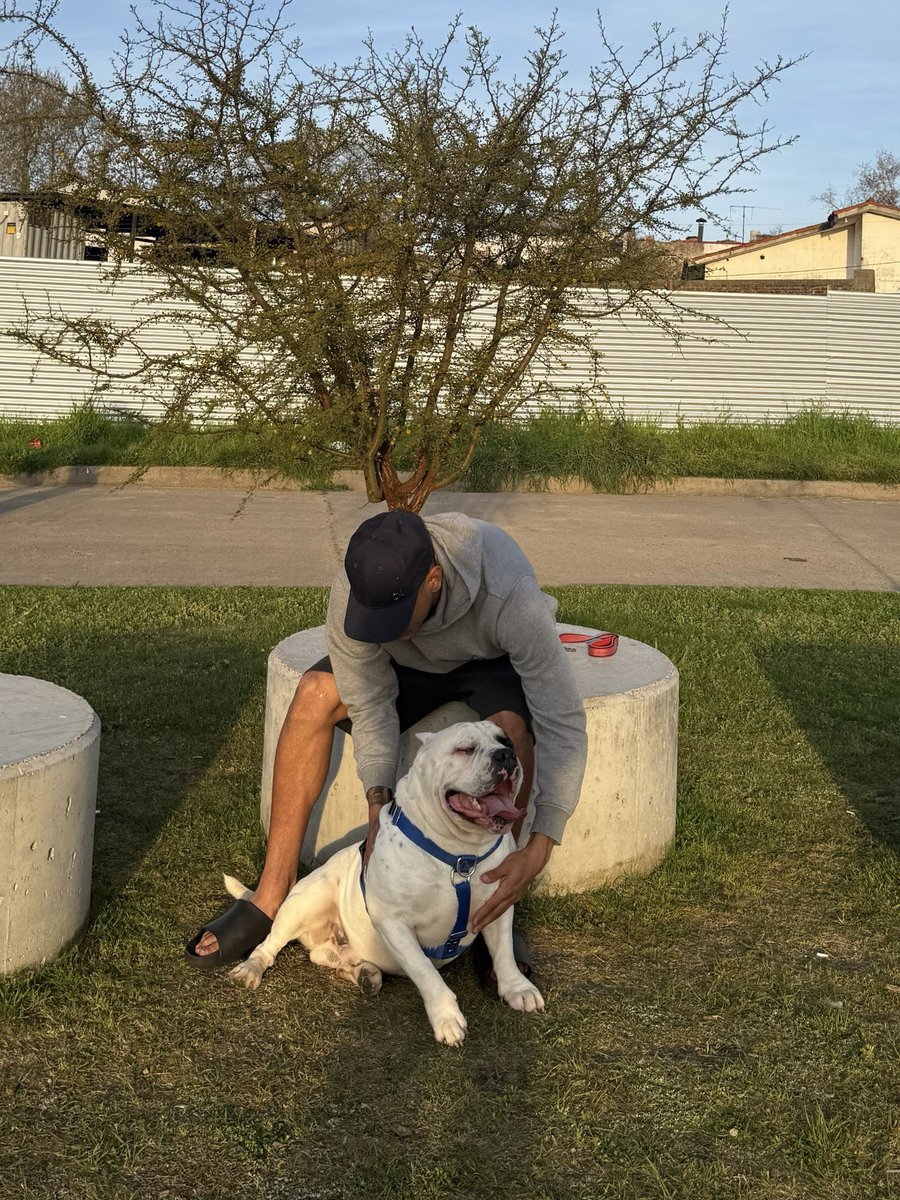 Toy apostando 100 mil…😂😍🦍