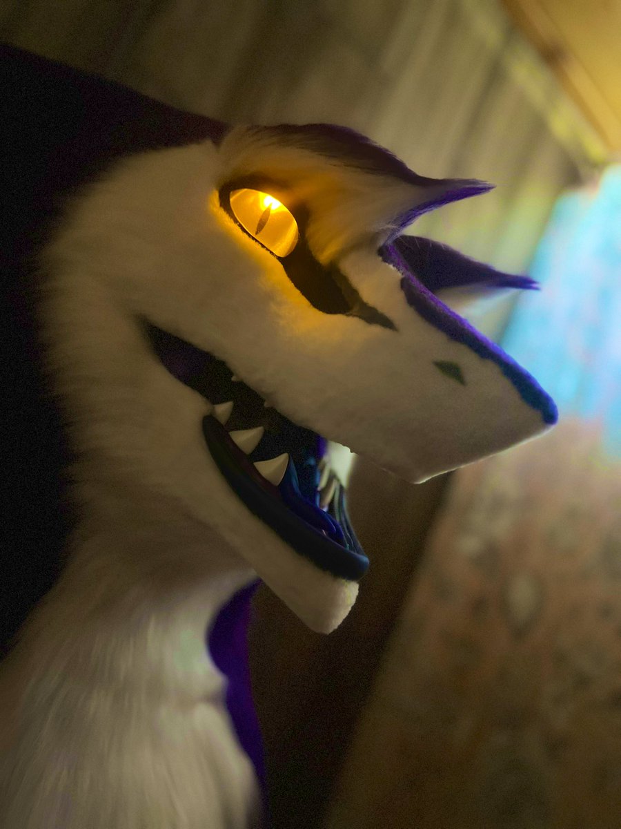 CHEESE!!! This was my first eastern sergal, using the <a href="/DvC_Ciara/">DreamVision Creations ⏩ MFF</a> eastern #sergal base!