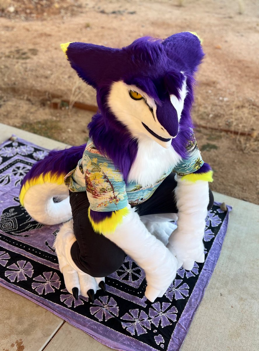 Bodozo 🇵🇸 tweet media