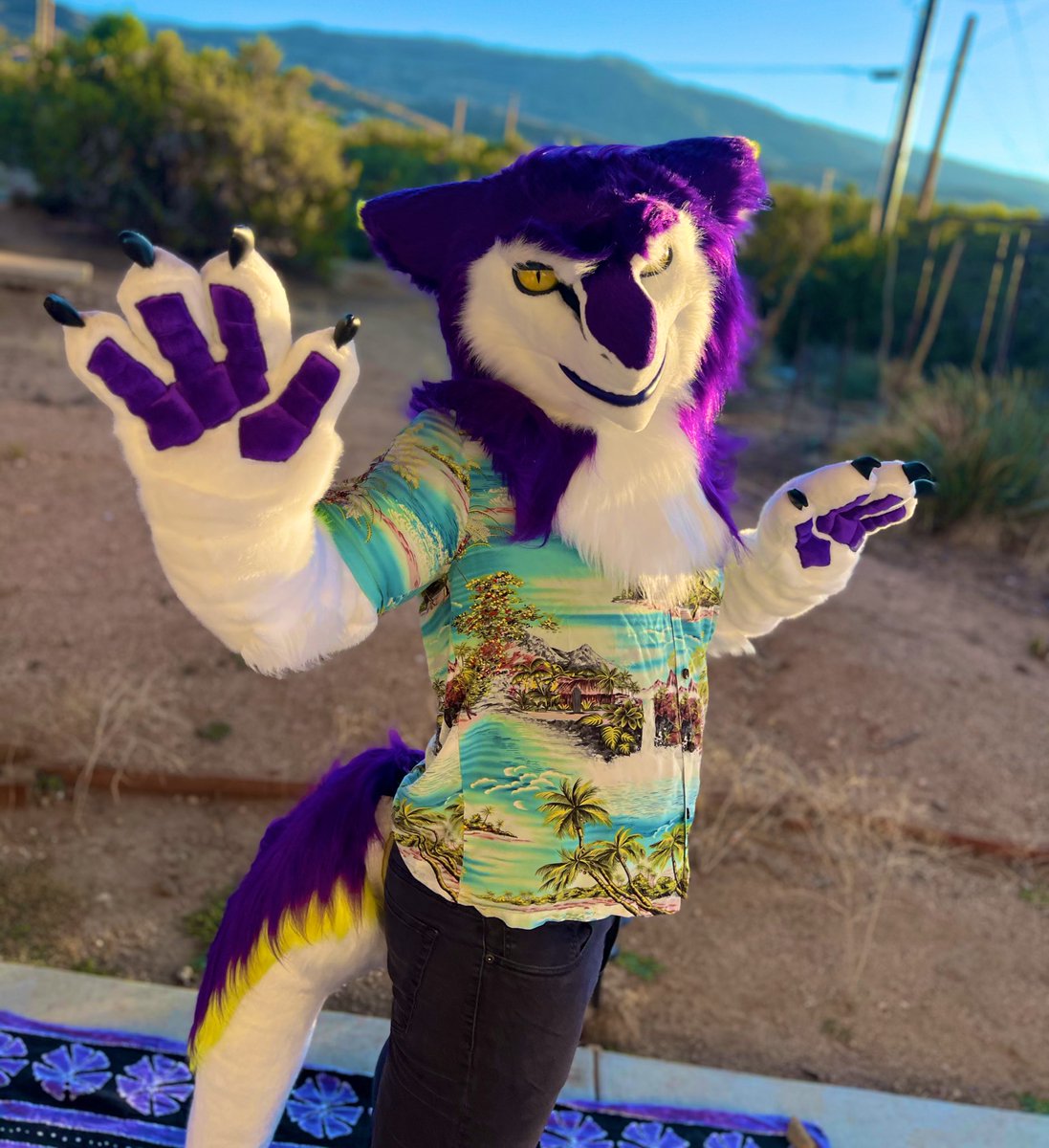 Bodozo 🇵🇸 tweet media