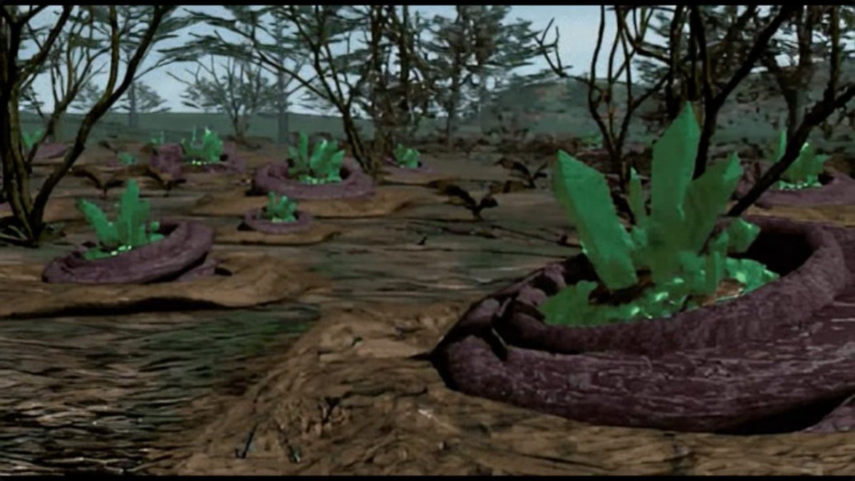 You're in 1995 and you see this on the television news. What do you do?