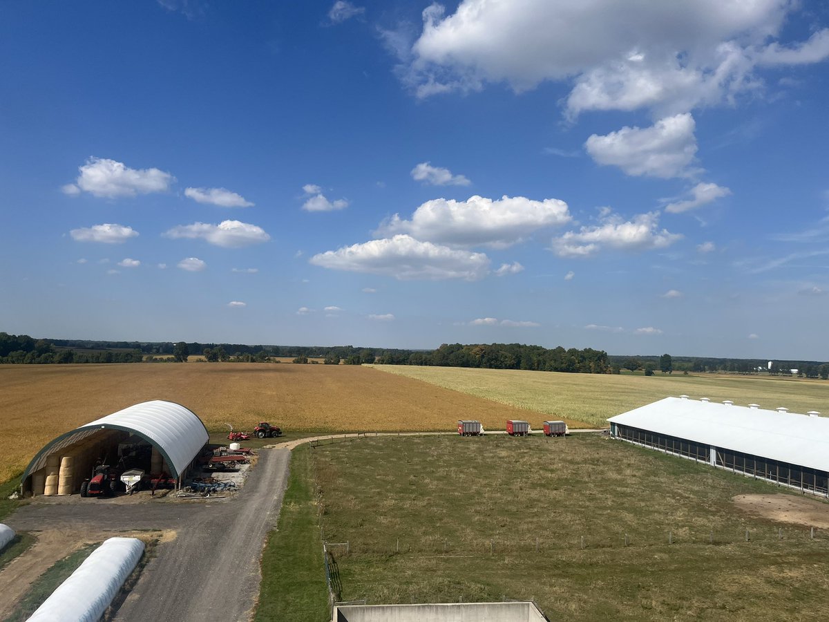 Robin Poss tweet media