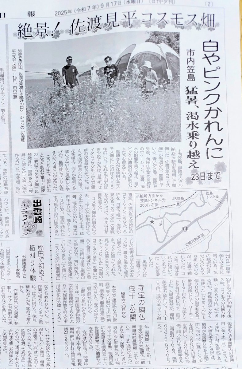 18日付け新潟日報と17日付け柏崎日報の記事です！　今日は荒天なので、晴れたらお出かけください！　風雨に負けずコスモス頑張れ!
#佐渡見平コスモス畑 #海とコスモス #海が見えるコスモス畑 #コスモス