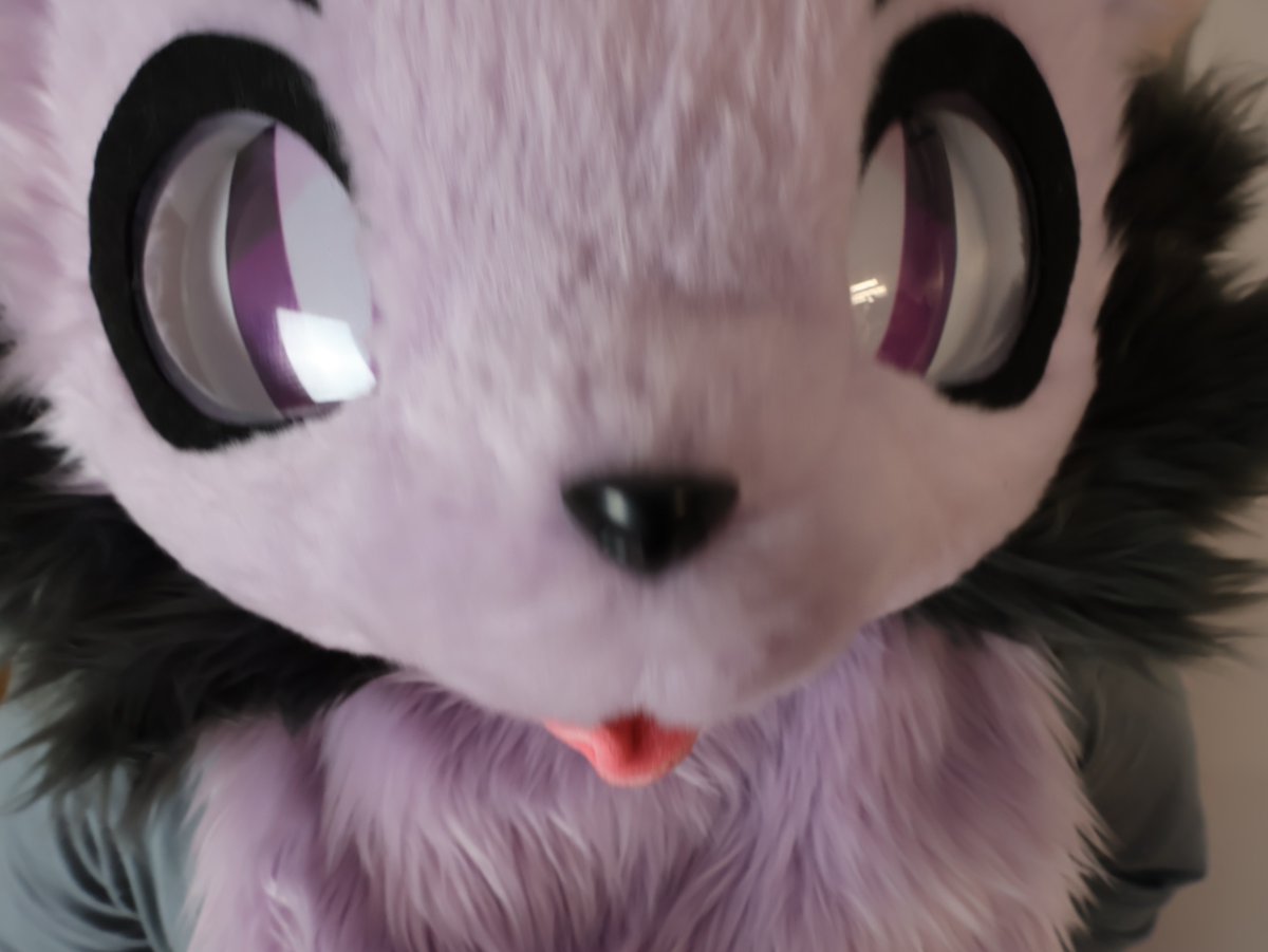 minusjos's tweet image. hello 🐈