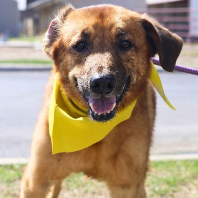 Aurora ⸆⸉ misses Liam ❯❯❯❯ tweet media