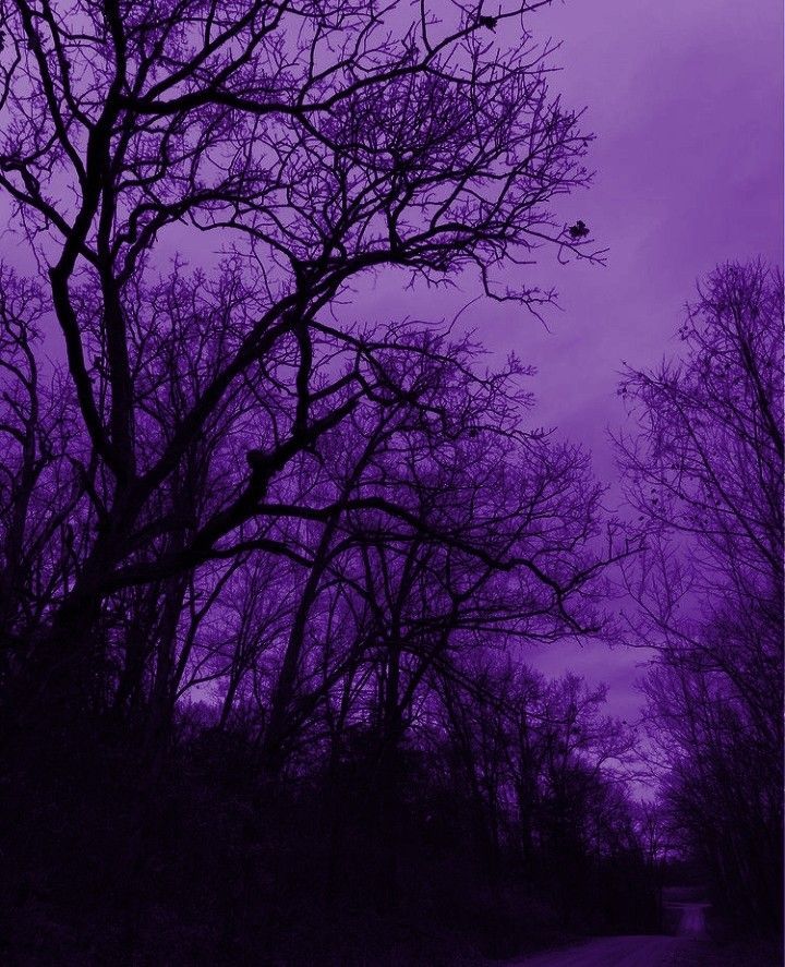 elemmiressoul's tweet photo. 𝔭𝔲𝔯𝔭𝔩𝔢.💜 https://t.co/HFsNHMCv72