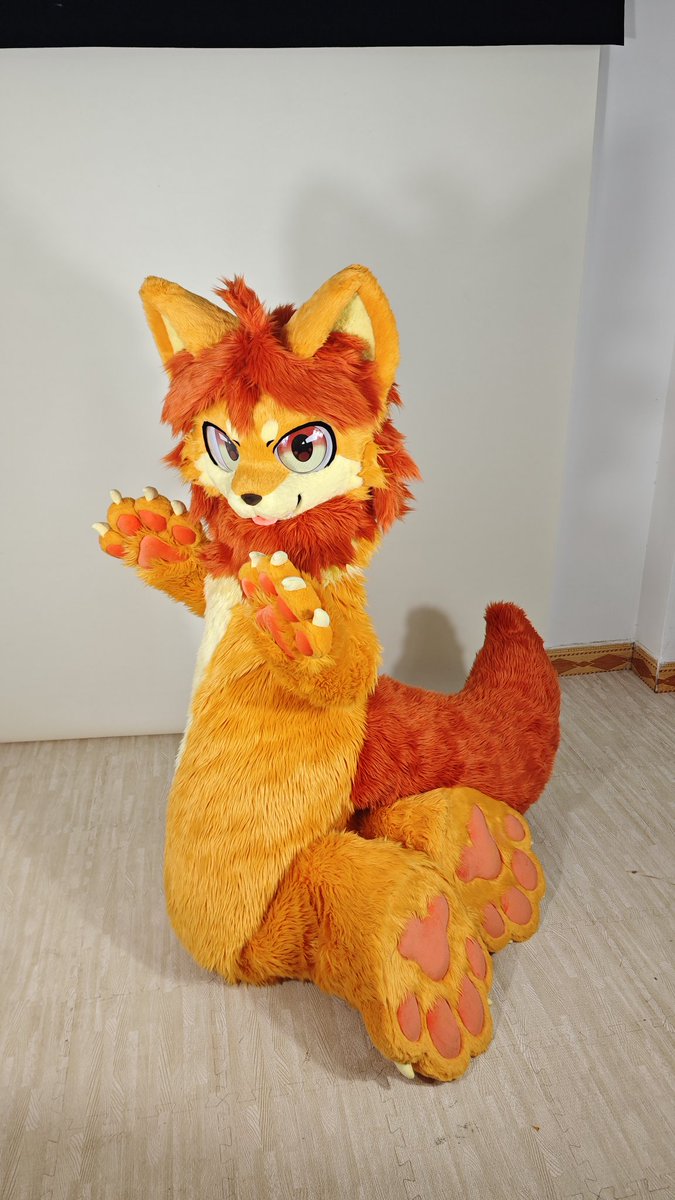 🦁✨🐾
I finished this cute orange lion
橘橘小狮子萌萌的 呆毛可爱~
（有空了再认真拍一点 啊啊我好懒）
#fursuit #furry #FursuitMaker