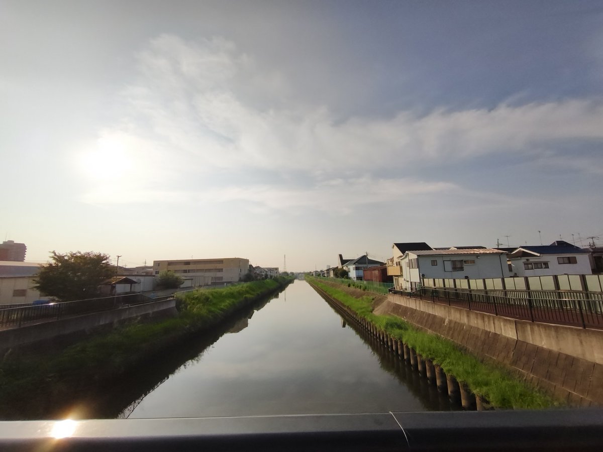 miki_mfb's tweet image. 薄曇りです🌥️