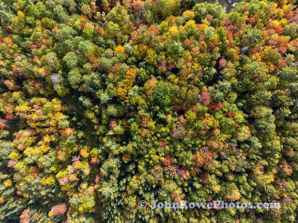 Colors are starting to pop in the Northeast Kingdom of Vermont.
Brighton, VT  9/17/25