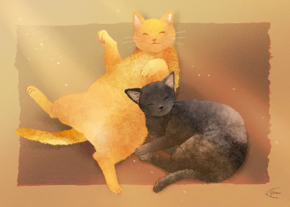naonimal's tweet photo. 黒猫とオレンジ毛猫のイラストを描かせていただきました。リクエストありがとうございました！
#Skeb #Commission https://t.co/ksalZoNLrT