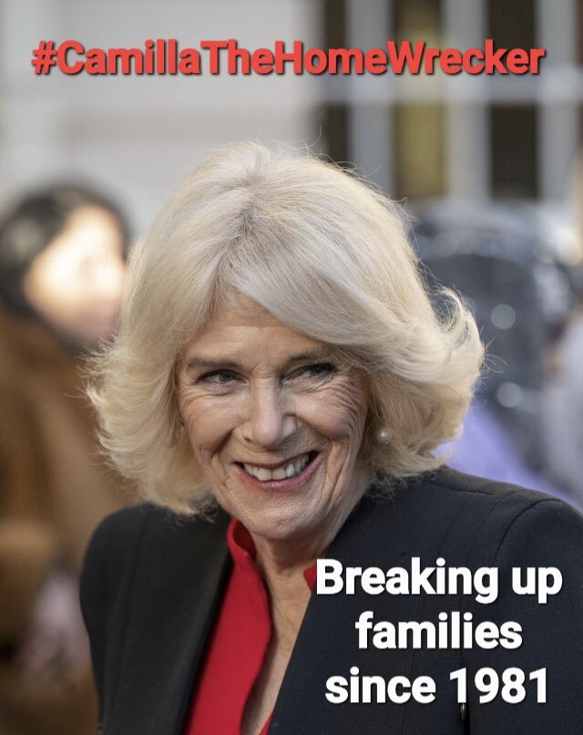 EAPoeEstNe19jan's tweet photo. @QueenRMade1 #SharingTheSameSentiments! #HMAL are #SafeInMontecitoCA. #Cowmula is a NASTY #PieceOfWork. #CPB &amp; #Tampon destroyed the mental health of a 19-year-old #ShelteredVirgin, #PrincessDiana. There has NOT been an impactful #PrincessofWales since #31Aug1997. #DownWithTheCrown 
@ShakeLS https://t.co/QkP0QlCA5M