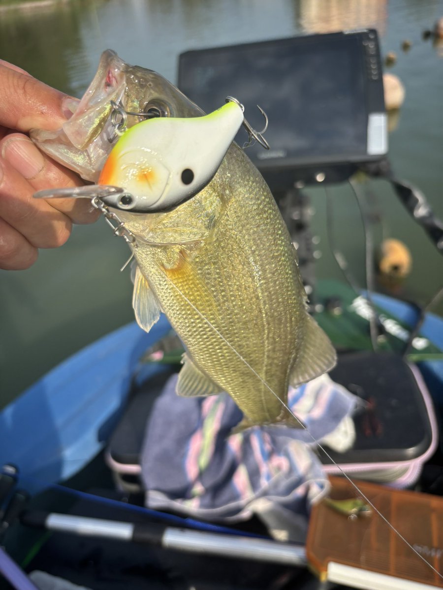 ロードランナー⭐︎ New 18x9J RAGUNA ZZYZX OX Japan (4 WHEEL) 6x139.7 TACOMA