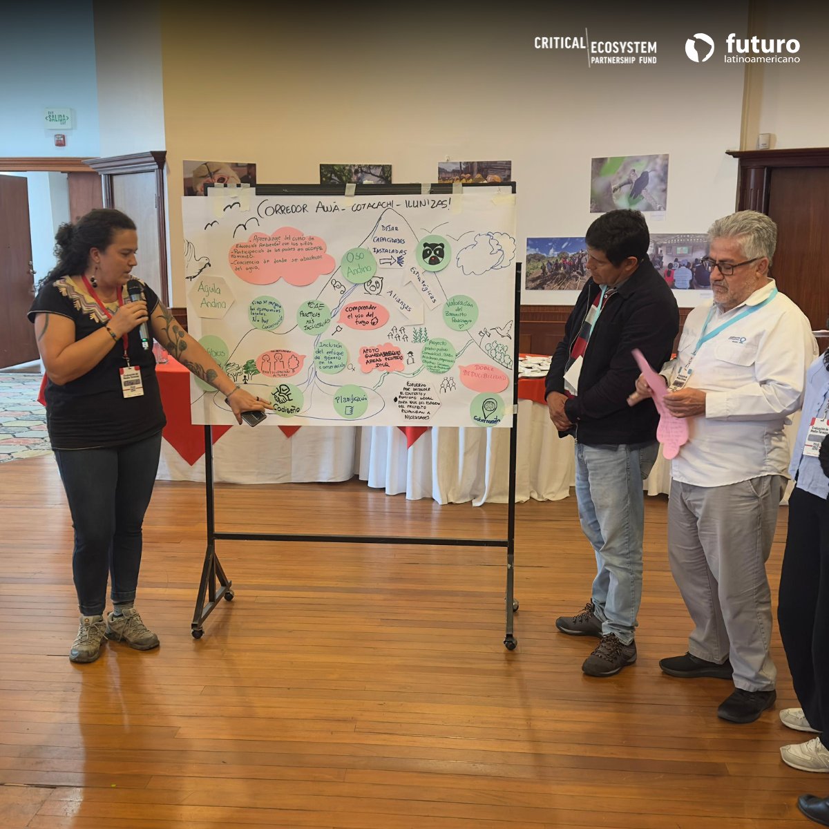 Fundación Futuro Latinoamericano tweet media