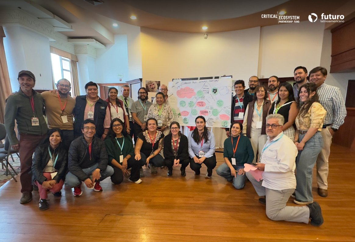 Fundación Futuro Latinoamericano tweet media