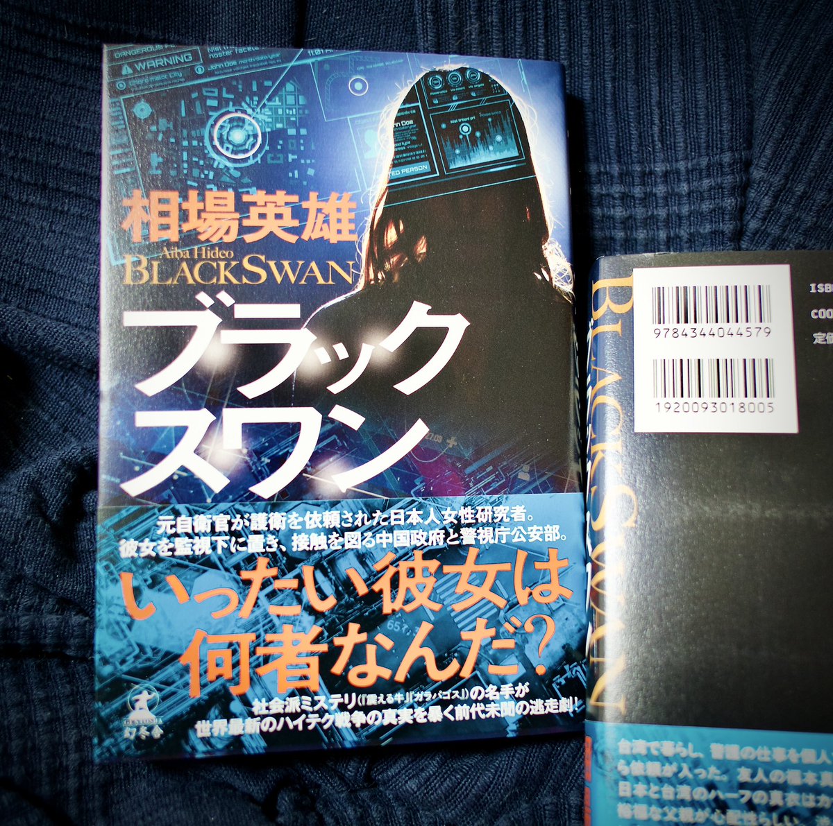 ブラックスワン　相葉英雄 ブラックスワン / 相場英雄【著】 ＜電子版＞ - 紀伊國屋書店ウェブ