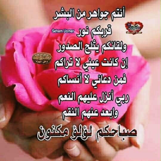 فتحي محمود (@fmhmwd83572) on Twitter photo 