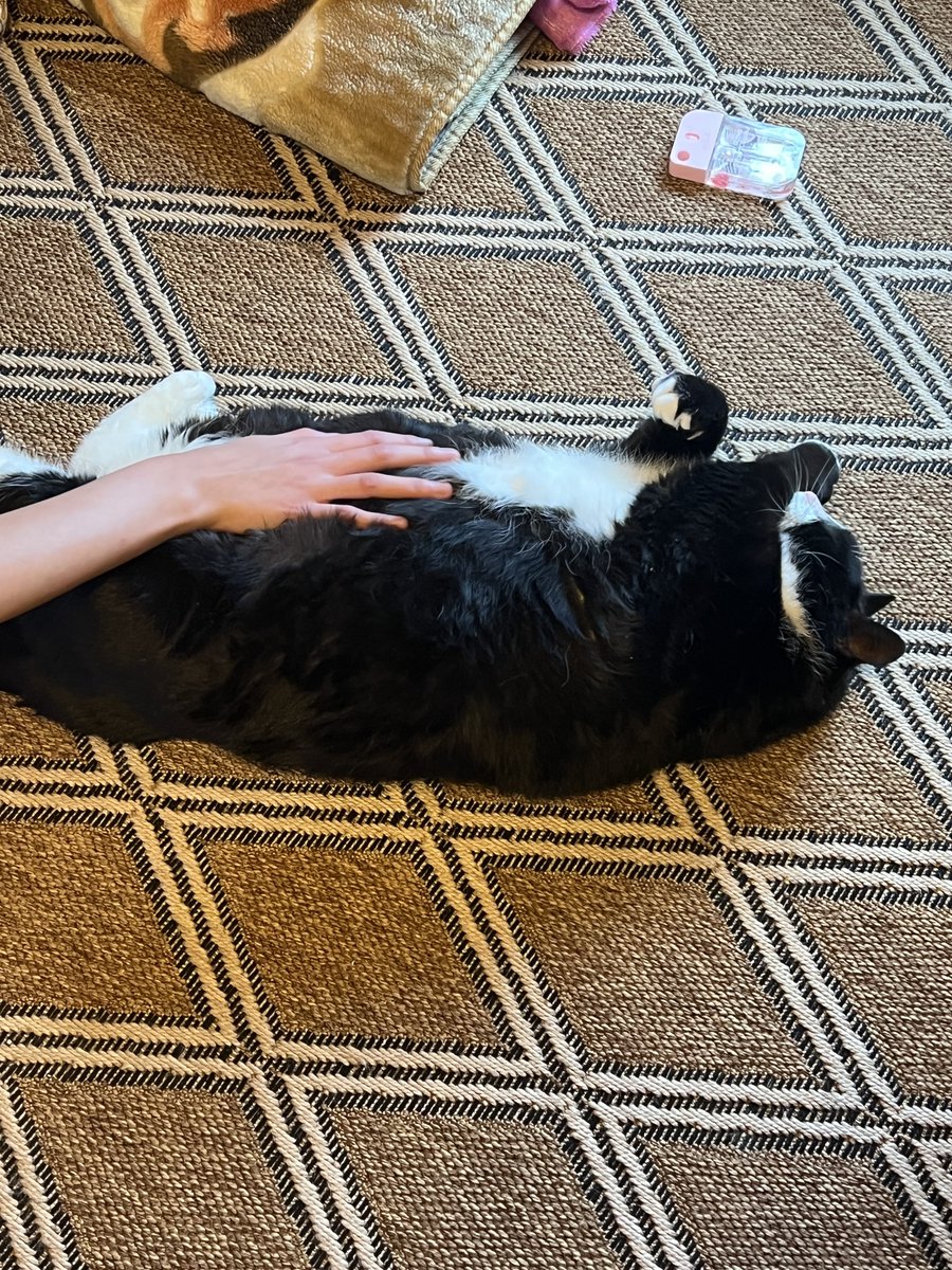 Lavinei 🌸 tweet media