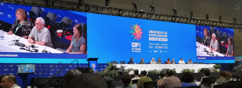 UCLA Center for Tropical Research tweet media