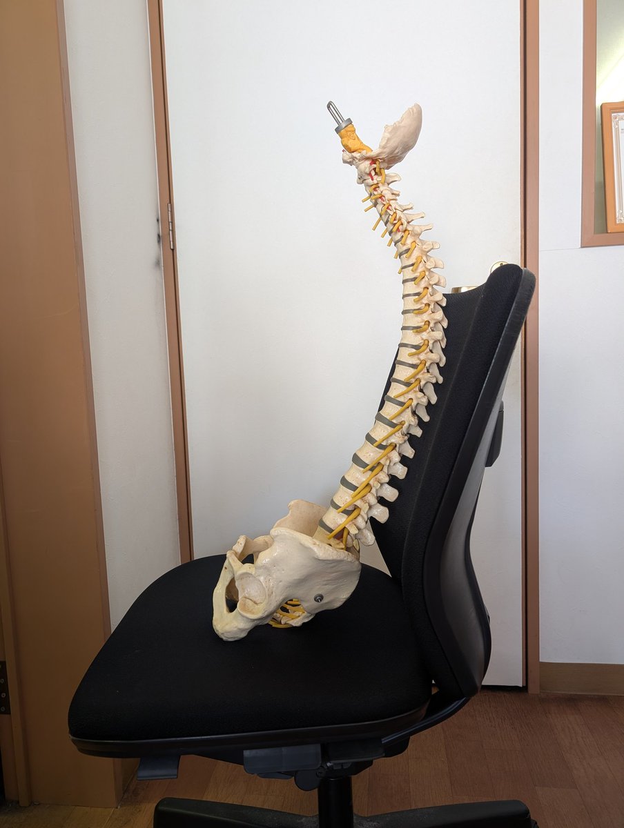 kodakara_baian's tweet photo. おはようございます。
社長座りは「仙骨座り」
これを毎日繰り返せば将来、慢性腰痛、坐骨神経痛、確定✨

老後、整形外科通いが日課にならないためにも、姿勢を正して生活しましょう。
骨盤を立てて背筋を伸ばし、あごを引いて頭を正しい位置に保つことを日々意識しましょう。😎👍️ https://t.co/4VoNjKQb5S