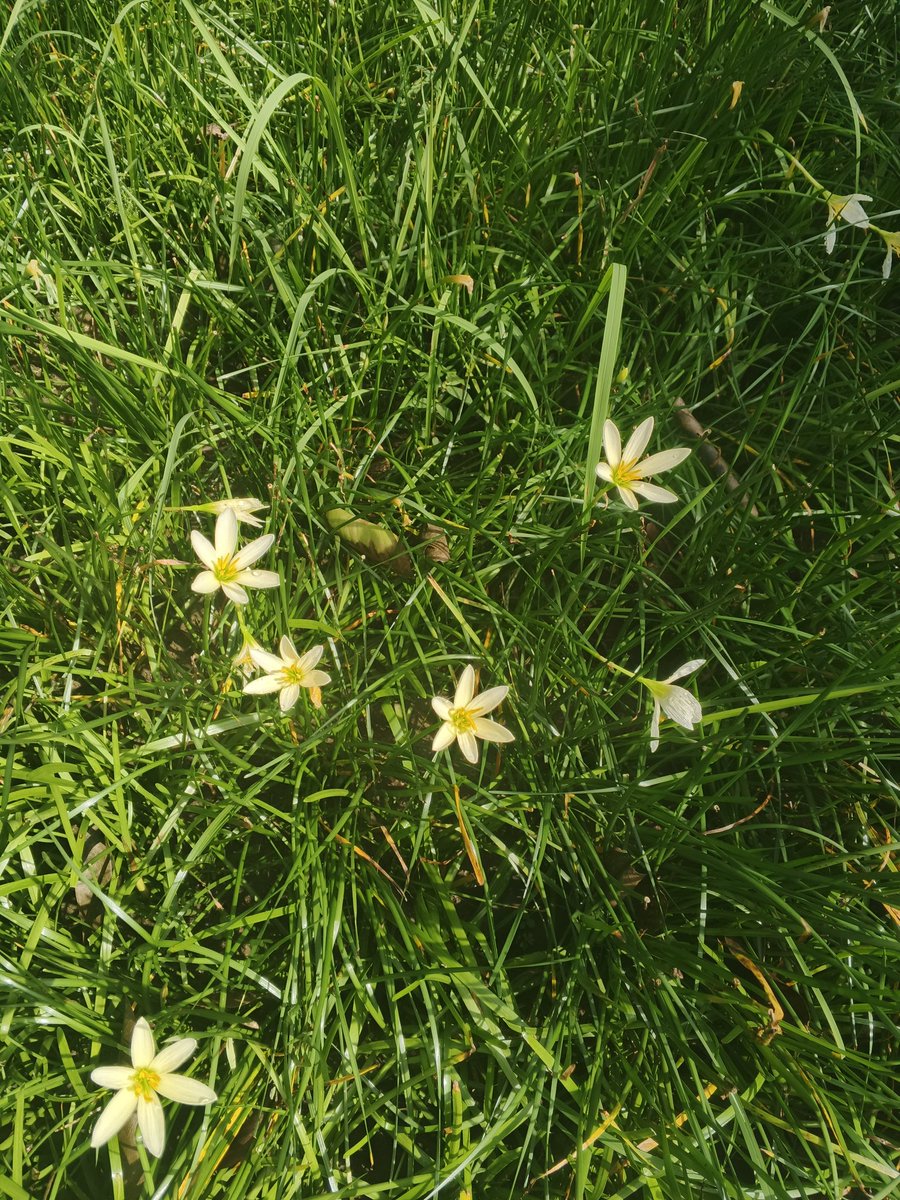 i2log's tweet image. 