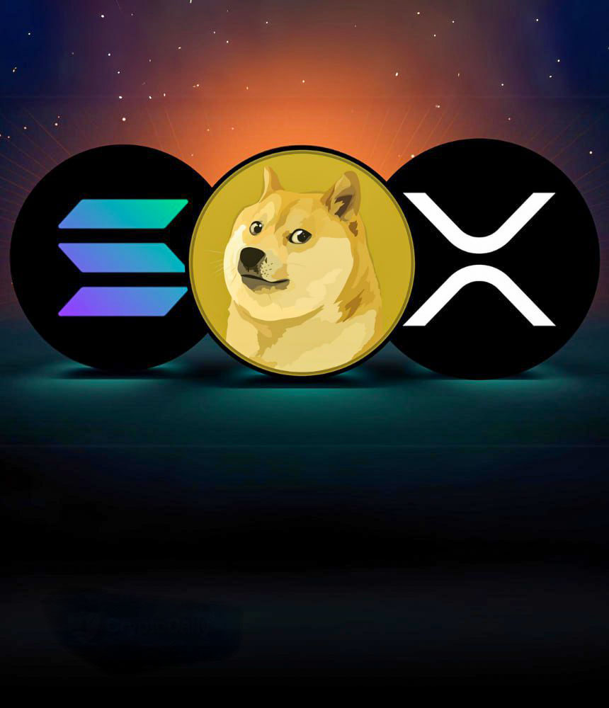 Altcoin Daily tweet media