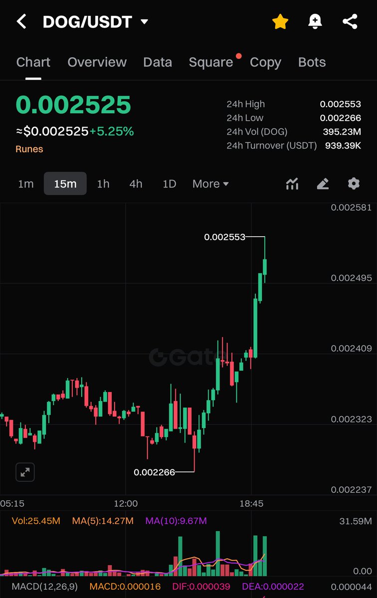 $DOG pumping right now ❗️❗️