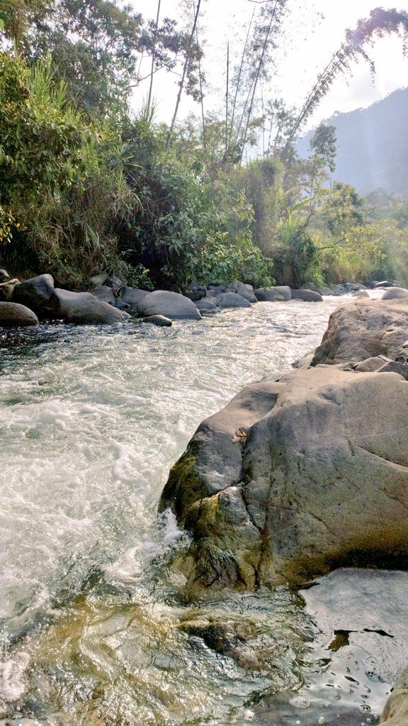 sandovalpress's tweet photo. Somos espíritu ✨, mente 😎 y cuerpo 🔥: mi cuerpo en Bolívar, mi mente en Cuenca y mi alma en Babahoyo. #Ecuador 🇪🇨 https://t.co/ktPb5j9rjq