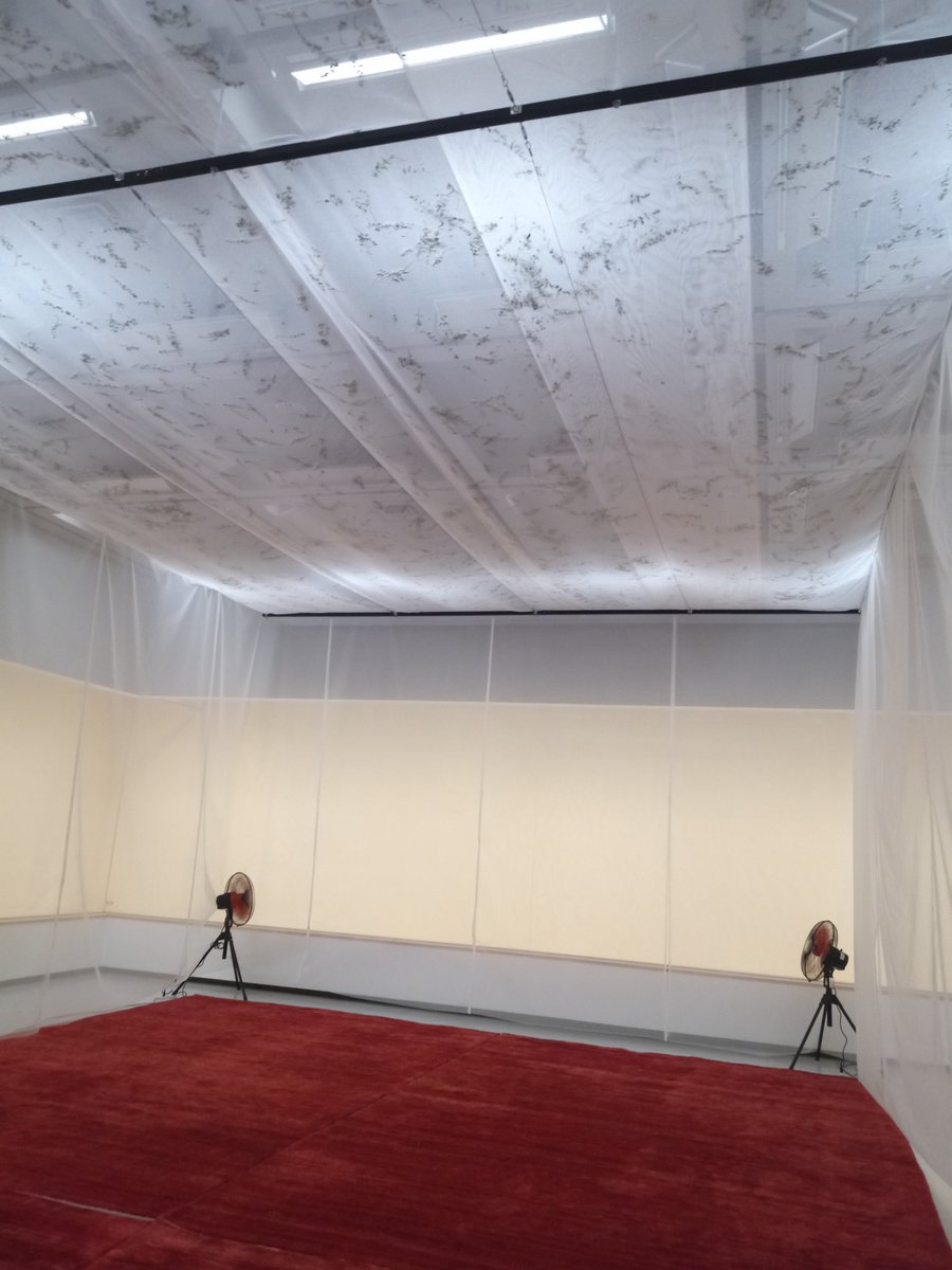 tsuchi_sato's tweet photo. 当面、美術館は存続とのことですが『身体で感じる緑とアート展』にて廣瀬智央さんと中村萌さんの作品。#練馬区立美術館 https://t.co/BTG9V9Eecl