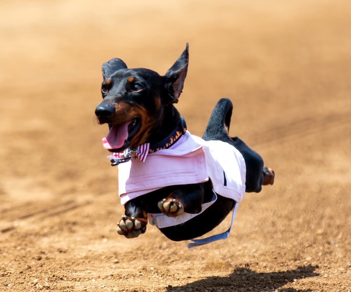 Red Mile Gaming & Racing tweet media