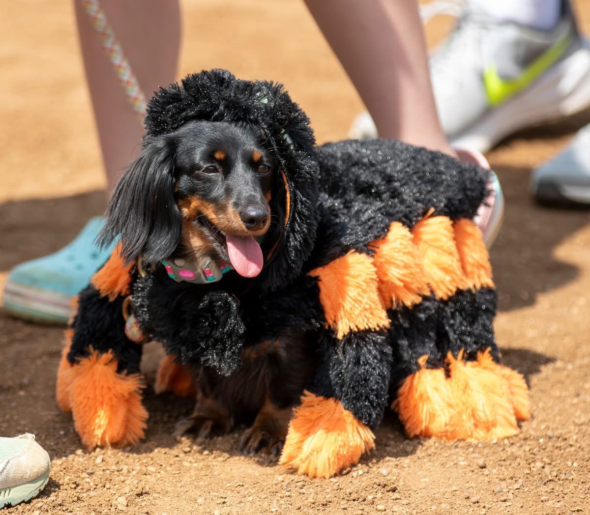 Red Mile Gaming & Racing tweet media