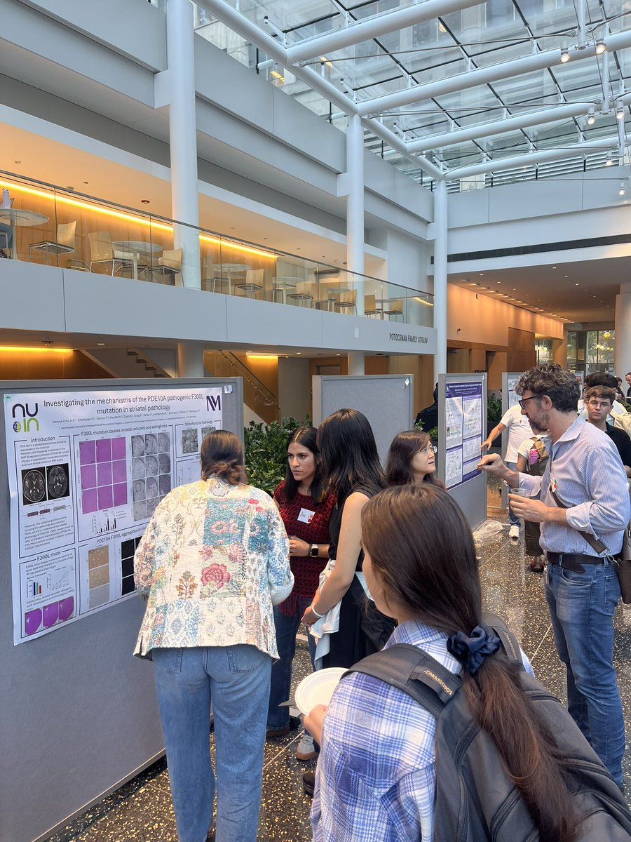 MencacciLab's tweet image. Great NUIN retreat today, especially for our PhD candidate, Ana, who is presenting her first poster 🥳🥳