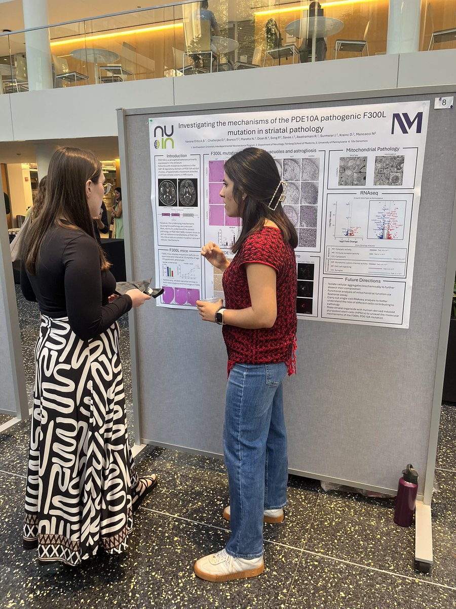 MencacciLab's tweet image. Great NUIN retreat today, especially for our PhD candidate, Ana, who is presenting her first poster 🥳🥳