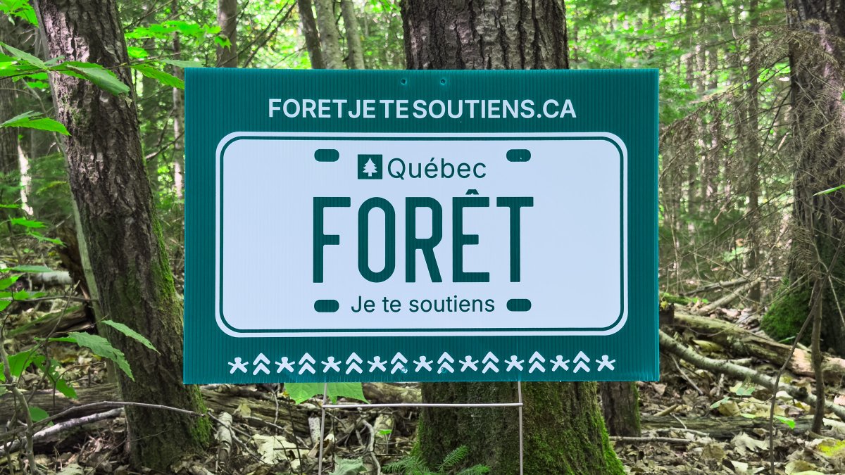 👉foretjetesoutiens.ca - Vous voulez parler de fierté nationale? Ok. Abordons donc la question de la forêt publique, de cette idée saugrenue d'en confier la gestion à l'industrie privée comme l'envisage la CAQ avec le #PL97. La SNAP lance la campagne #foretjetesoutiens