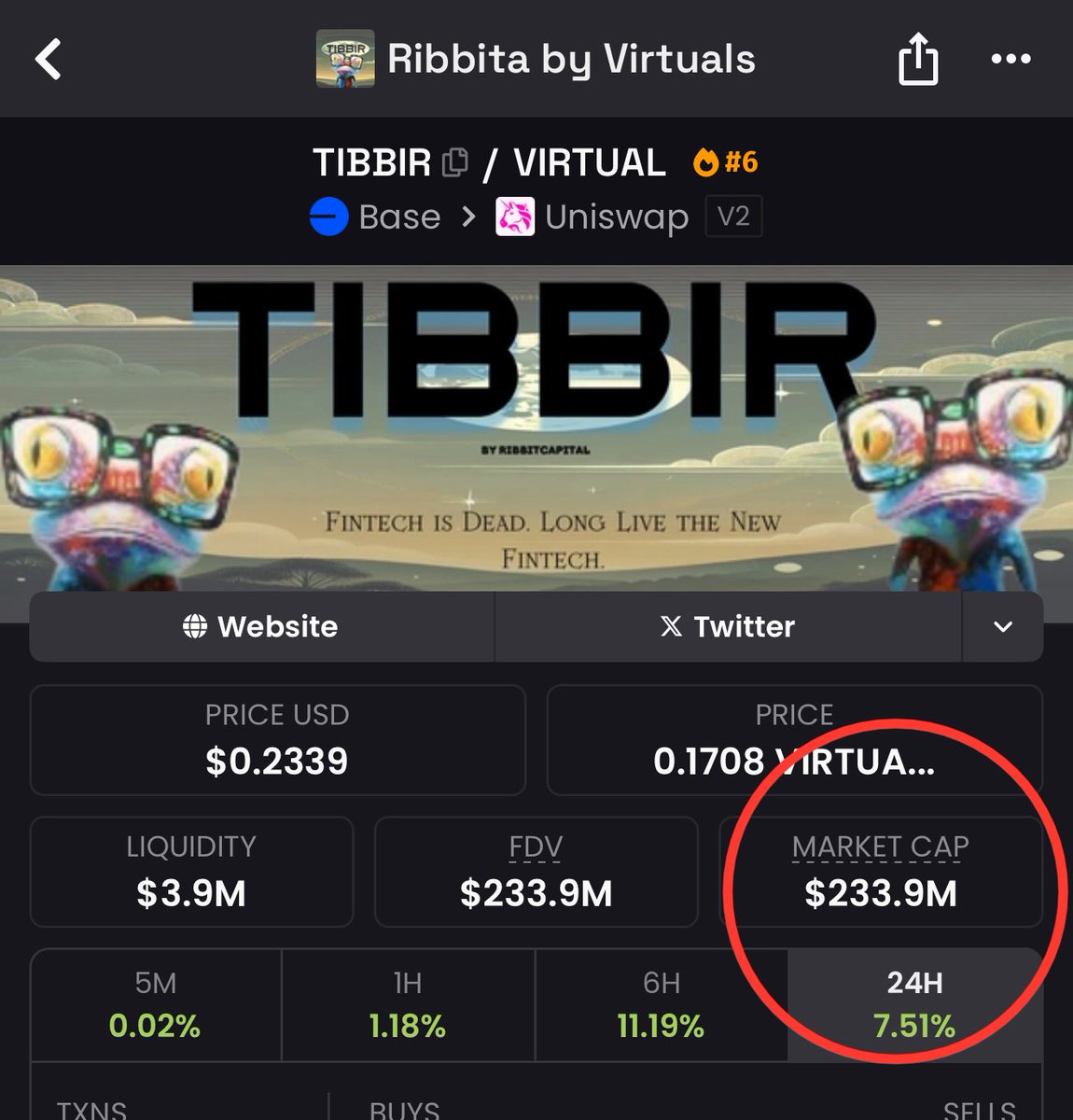 Let me guess.. you faded $TIBBIR.. again..