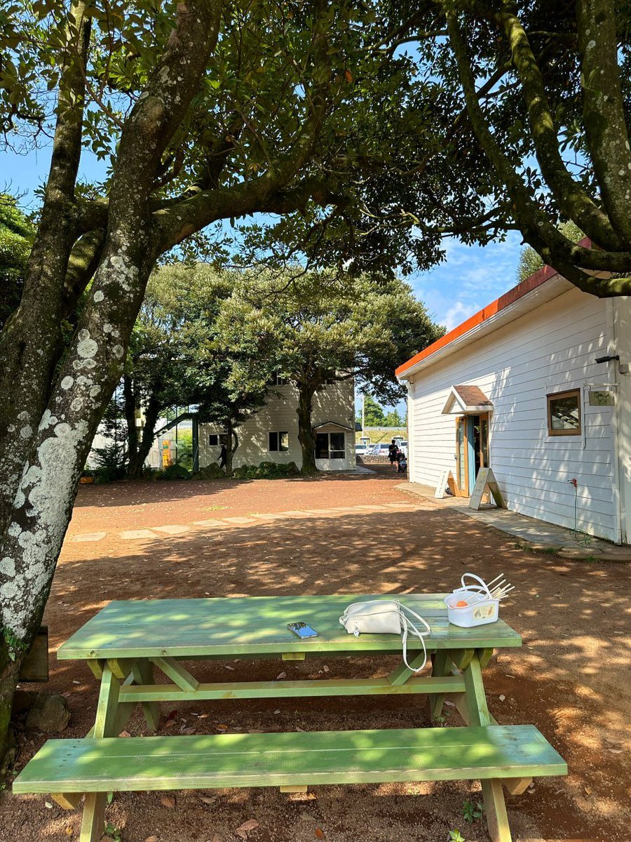 Allison (@annie36989) on Twitter photo 