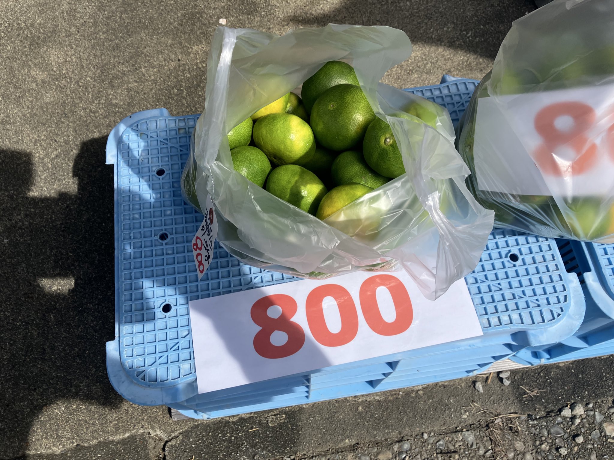 みかんさん専用 さがみかん100％搾り 330ml×12本入: さが風土館 季楽|【JA
