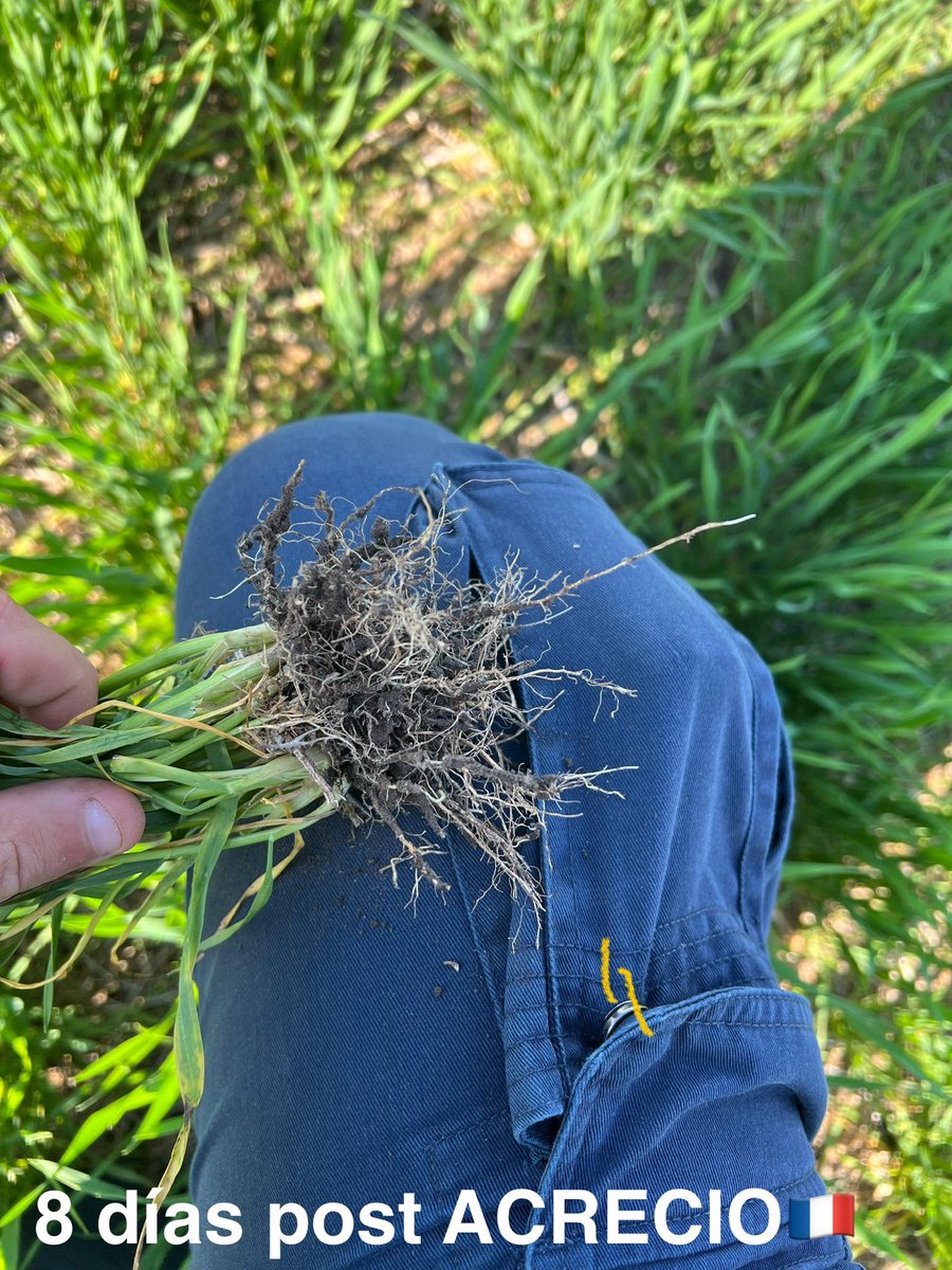 NutriAvanza tweet media