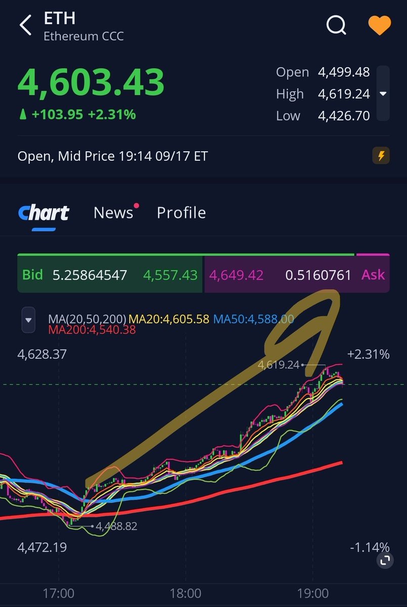 도지코인이 이더리움과 알트코인들 캐리 중 😅
