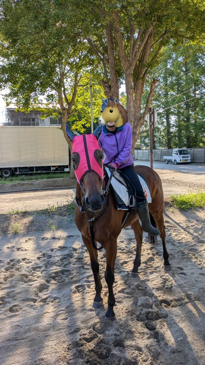 中山フェスタ (@donnylalah) / X