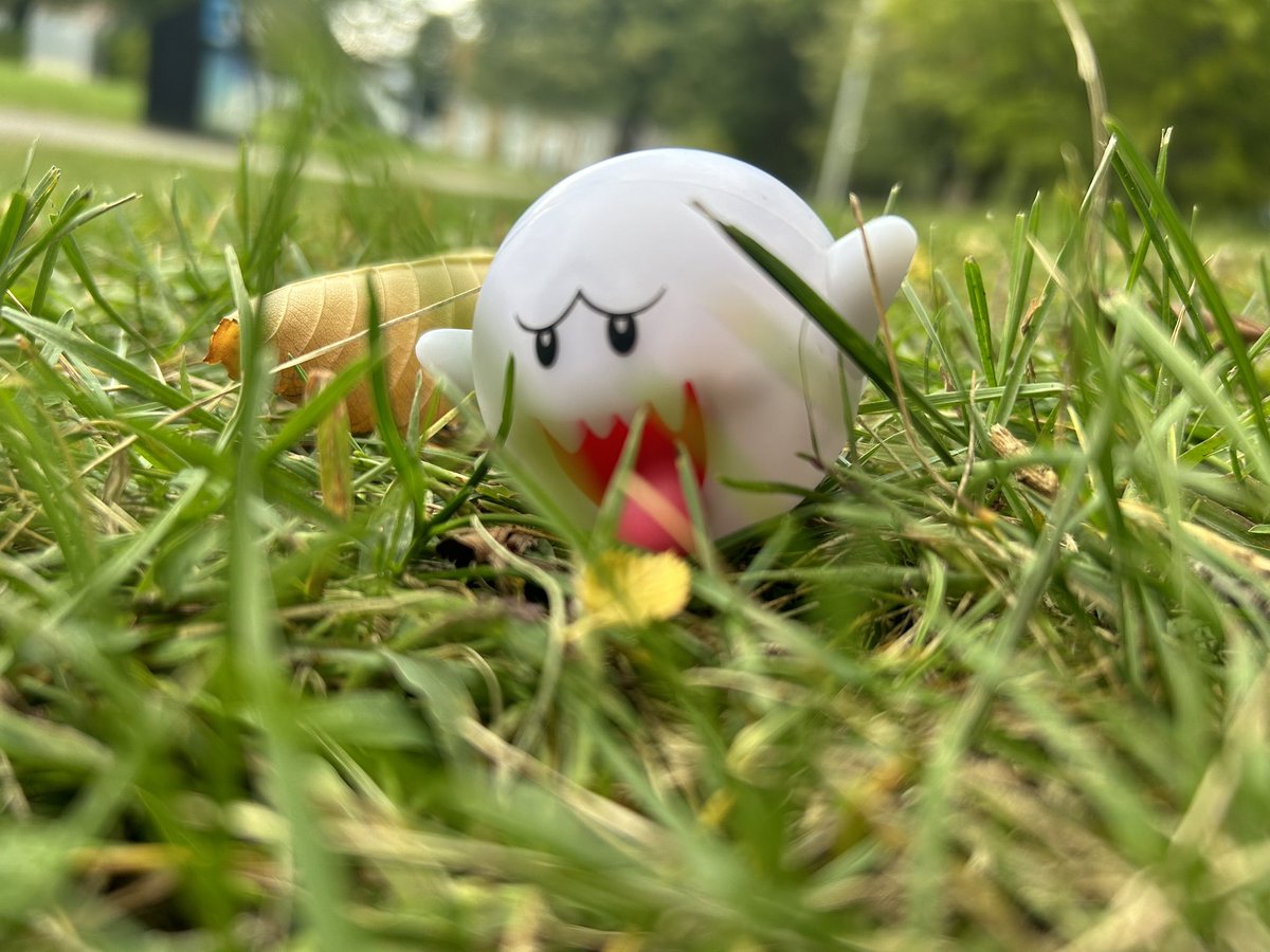 Cheesebrackers's tweet image. My son egg and his brother cheese