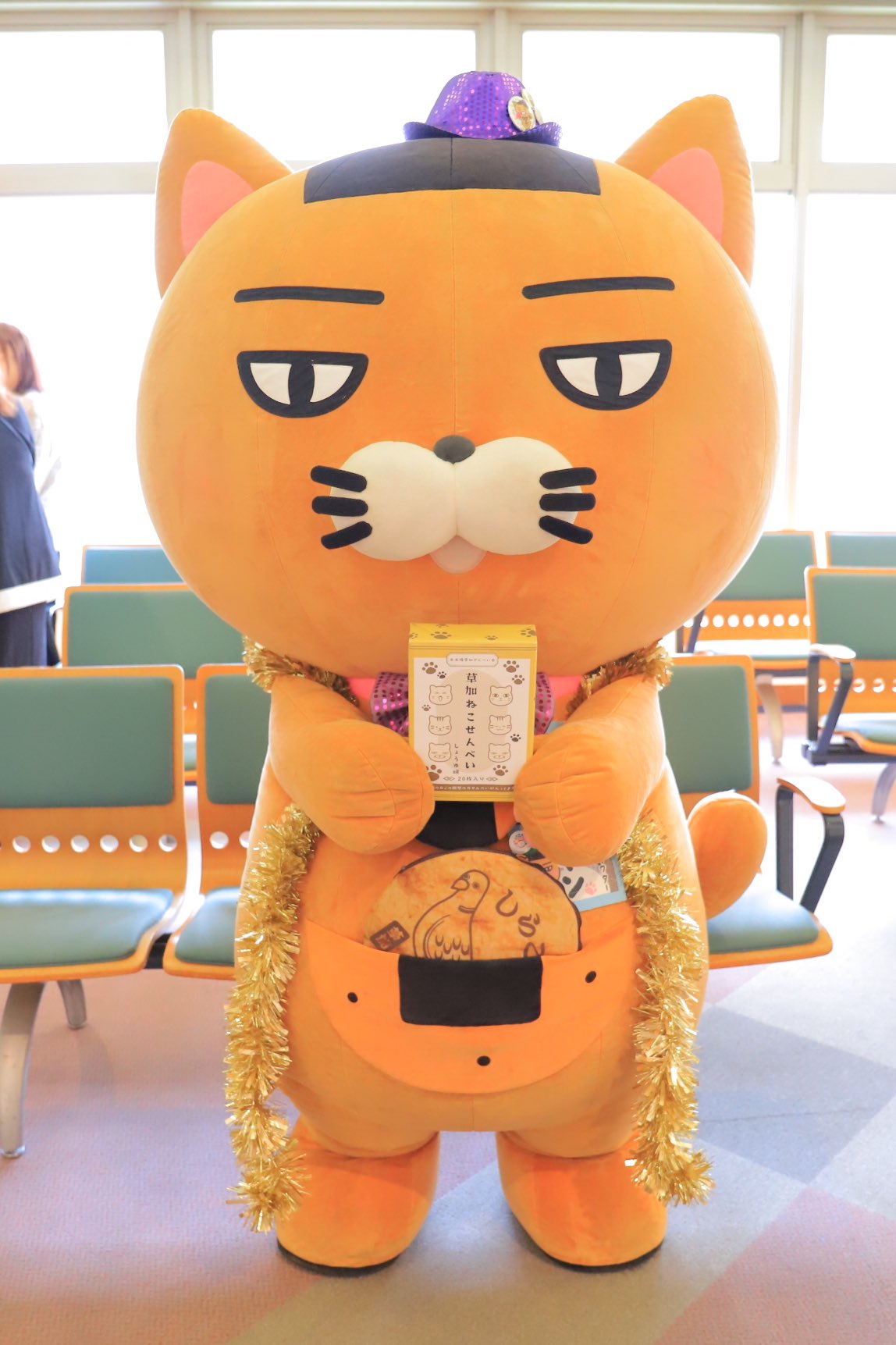 【専用です】にゃんこさんようです❤️ そうかニャン🍘ฅ(ↀᴥↀ)ฅT【公式】 on X: 