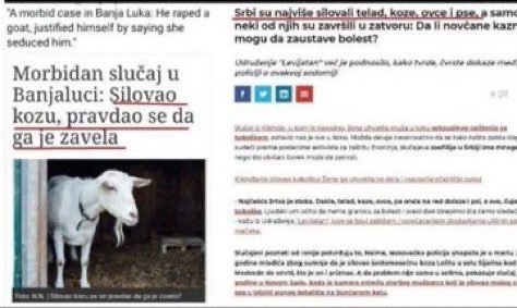 DimDimbo tweet media