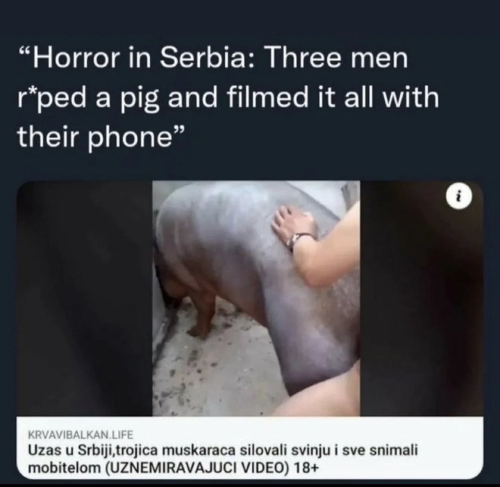 DimDimbo tweet media