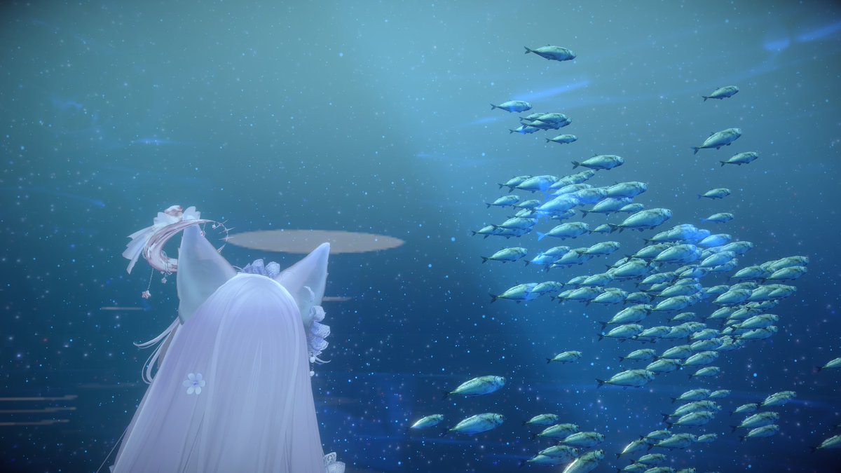 おはおー
お魚はいいぞ